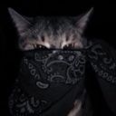 kijmar