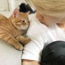 iloveyouparkjiminlov