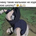 OPLL1_LIKE