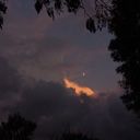 Moonlig_dream