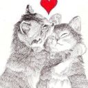 SofiFrei