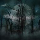 PolinaFullMoon
