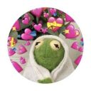 ShotoTodoroki6897379