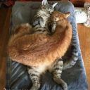 ssssssssssssss555555