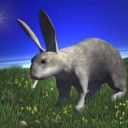 oopsie_gotta_poopsie