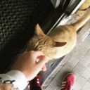 Masha_0036
