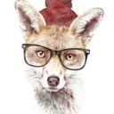 Tomas_Fox