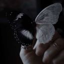 _ruby_baker_