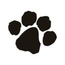 JkPaws
