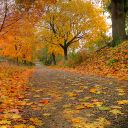 alices_fantasy_world