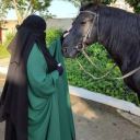 sempiternal_stranger