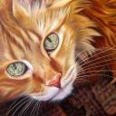 MorkvaCtepanovna1803