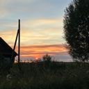 dariasaha