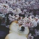 Lili_Simple