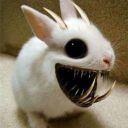 The_world_of_fandoms