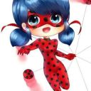 Ladybug_015