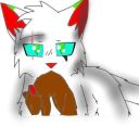user47728047
