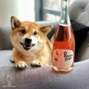 never_give_up_friend