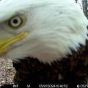 Tsukiyama_Saeko-chan