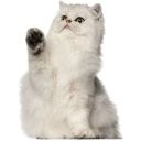 user04081292