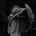 utopiainspiderlilies