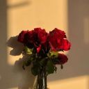 AlEkSaNdRa_MaTvEeVa1