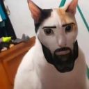 mwrtye