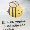 angry_honey_bee