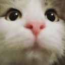 Fluff_2