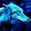 Stellar_Blue_Wolf