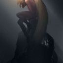 The_Wolfs_Feather273