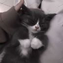 bibliophile_lerochka