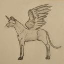 LiN_003