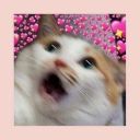 problematic_problem_