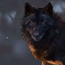 Koriwolf