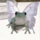 tiguanini