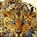 user91087574