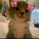 IVA_568