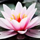 beautifulparadise215