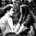 twilight_449