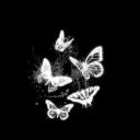 payton_MYRM5684