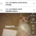 pavlenkoirishkainter