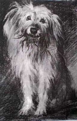 М⃠у⃠м⃠у⃠