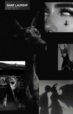 Амфетамин В Крови 