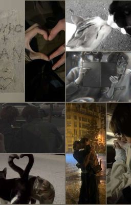 Минсоны[омегаверс]