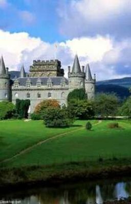 Академия оборотней