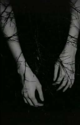 желанные дни 