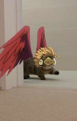 Сестра Ястреба 