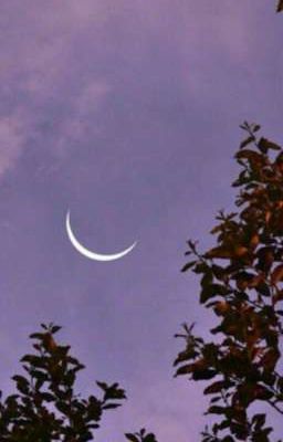 Юность, сигареты и любовь.