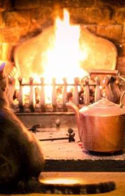  Первая и последняя ....  